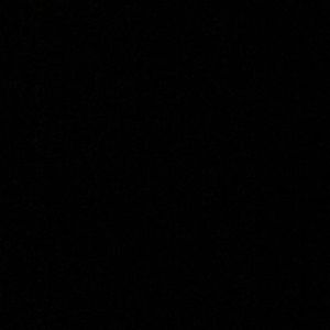 Meet your Posher, Madi